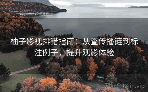 柚子影视排错指南：从查传播链到标注例子，提升观影体验