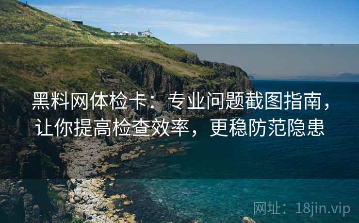 黑料网体检卡：专业问题截图指南，让你提高检查效率，更稳防范隐患