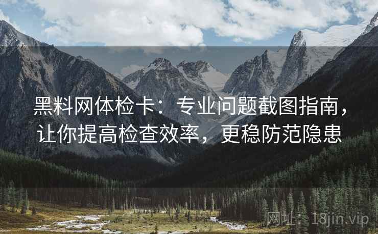 黑料网体检卡：专业问题截图指南，让你提高检查效率，更稳防范隐患