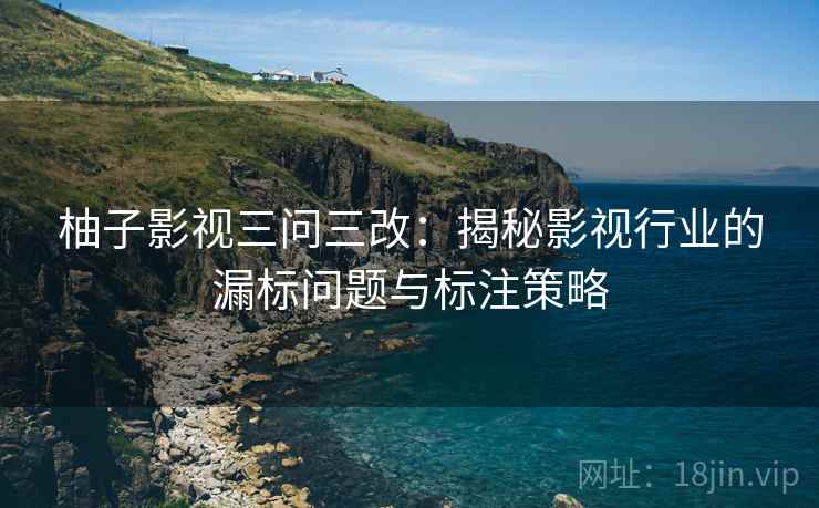 柚子影视三问三改：揭秘影视行业的漏标问题与标注策略
