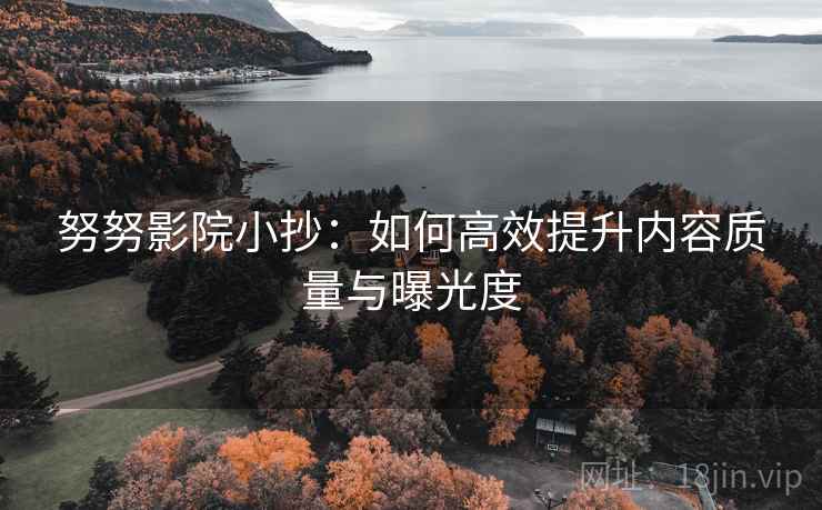 努努影院小抄：如何高效提升内容质量与曝光度