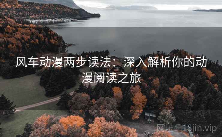风车动漫两步读法：深入解析你的动漫阅读之旅